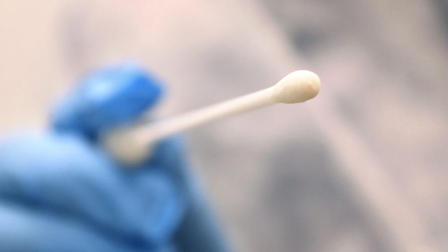 Après des tests rapides, des vaccinations sur chantier ?