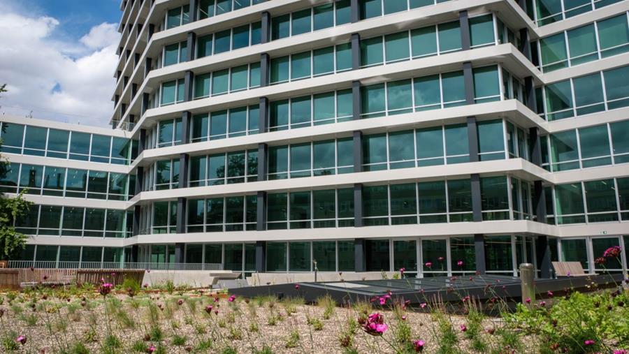 Extensieve groendaken op gerenoveerde Louisa Tower