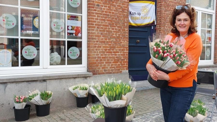 Lievegemse helden breken record met tulpenverkoop