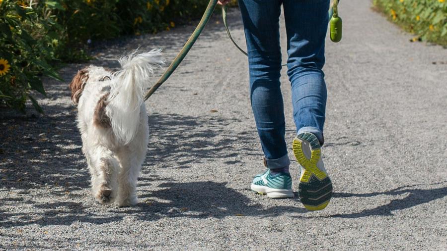 Studie: dagelijks 7.000 stappen al genoeg voor gezondheidswinst
